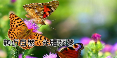花蓮縣稻香國小環境教育網